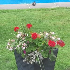 Meet your Posher, Jayne